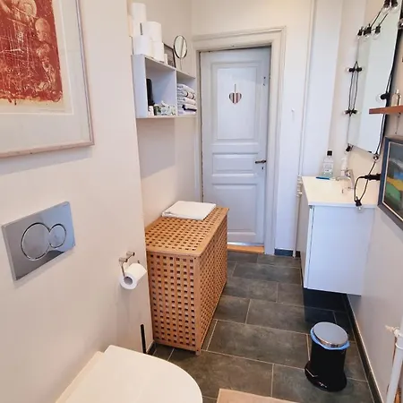 Scandinavian Apartmán Århus